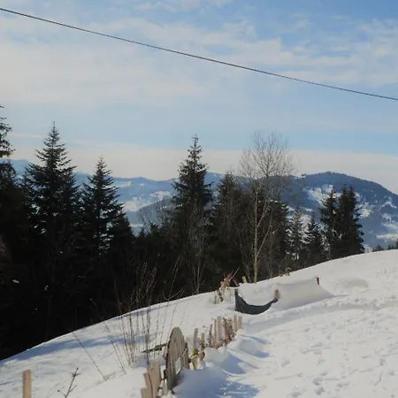 Comfortable In Near Ski Area アパート *